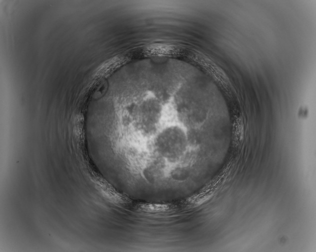 X0000101220361200806271453