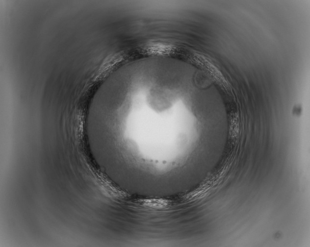 X0000101220363200806271453