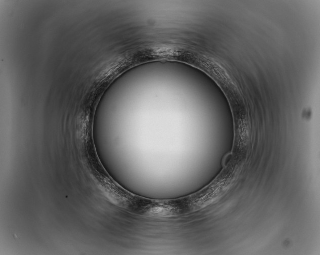 X0000101220364200806271453