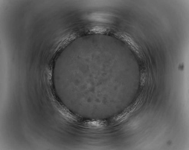 X0000101220365200806271453