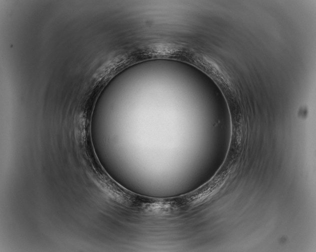 X0000101220366200806271453
