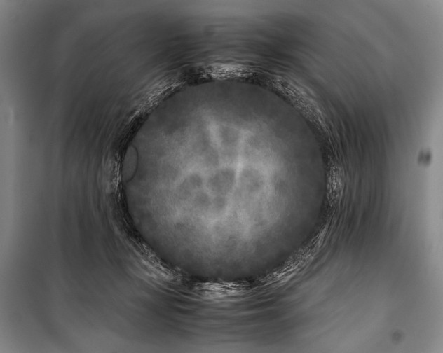 X0000101220367200806271453
