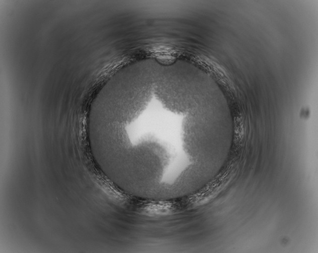 X0000101220369200806271453