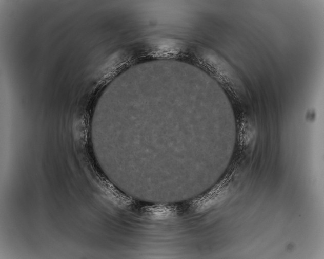 X0000101220370200806271453
