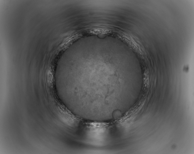 X0000101220371200806271453