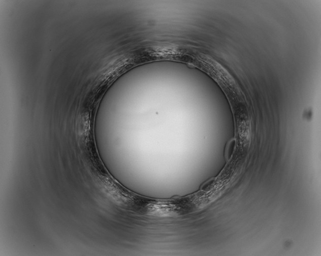 X0000101220372200806271453