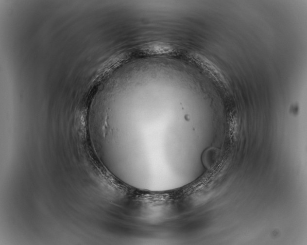 X0000101220373200806271453