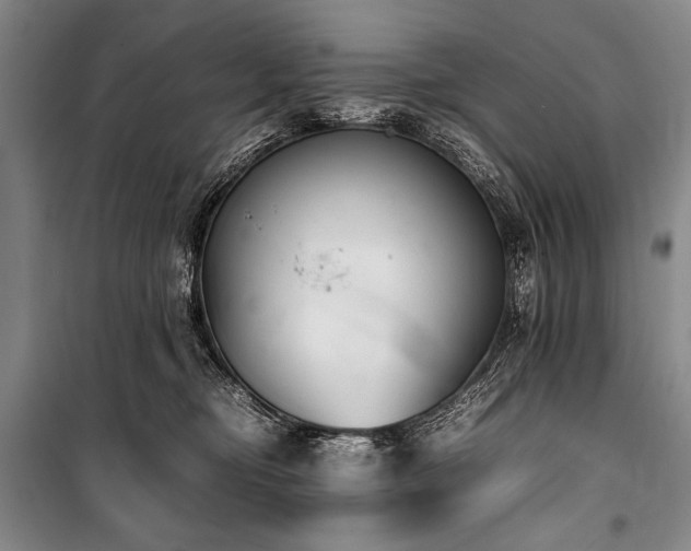 X0000101220374200806271453
