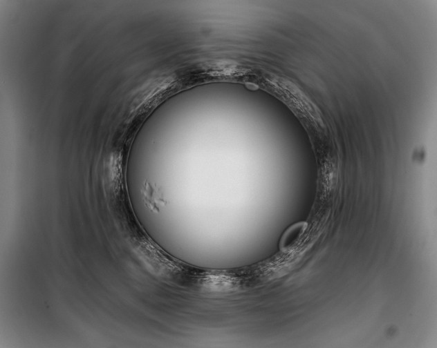 X0000101220376200806271453