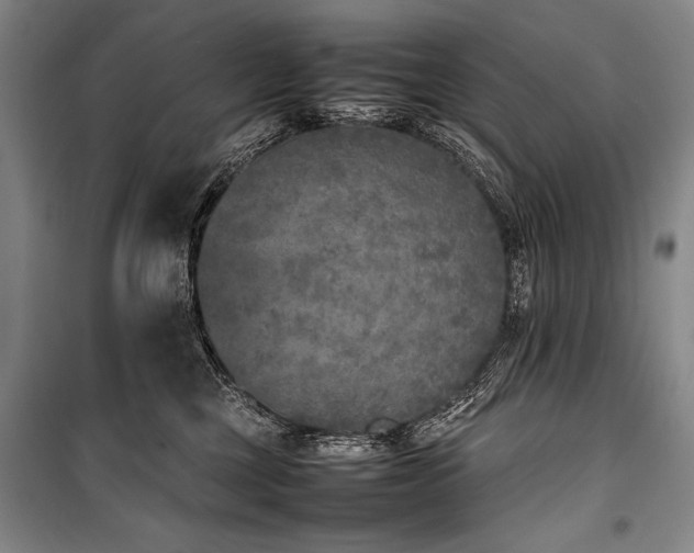 X0000101220377200806271453