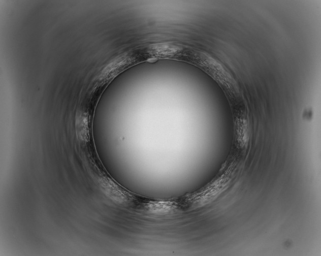 X0000101220378200806271453
