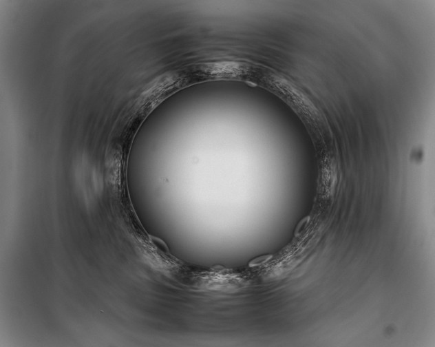 X0000101220379200806271453