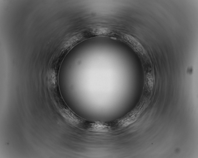 X0000101220380200806271453