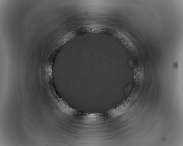 X0000101220382200806271453