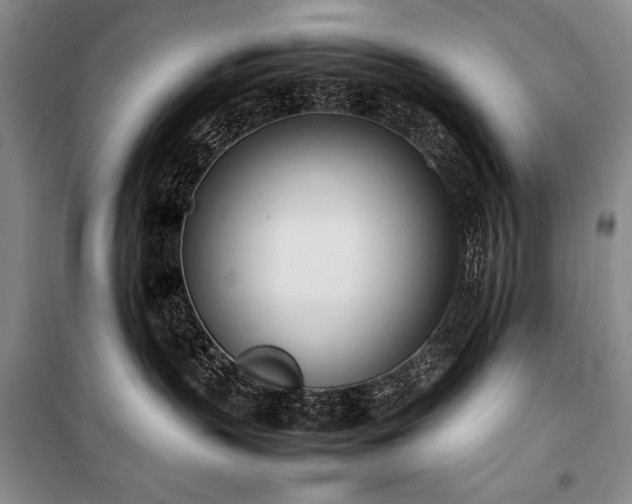 X0000101220383200806271453
