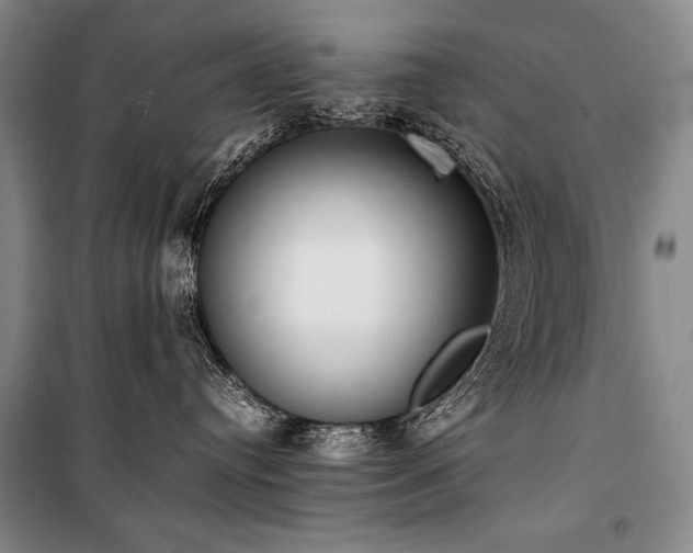 X0000101220384200806271453