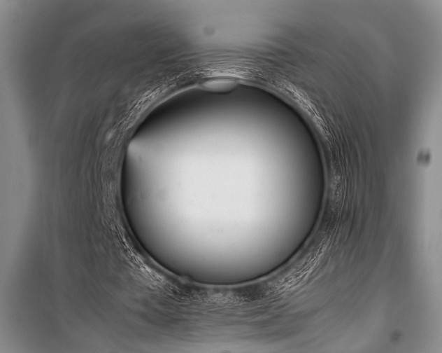X0000101220385200806271453