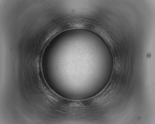 X0000101220386200806271453