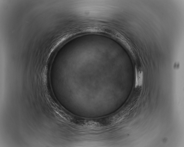 X0000101220387200806271453