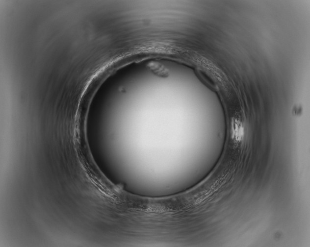 X0000101220388200806271453