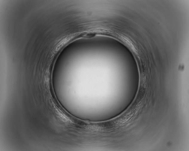 X0000101220389200806271452