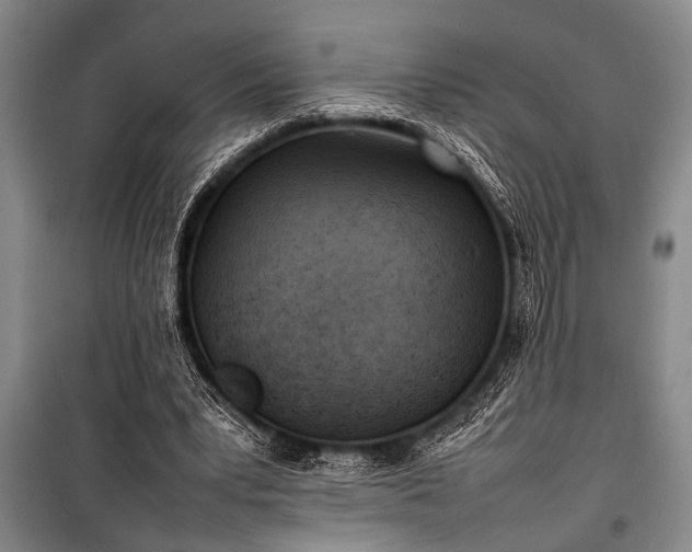 X0000101220391200806271452