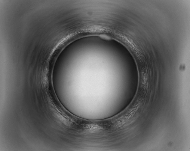 X0000101220392200806271452