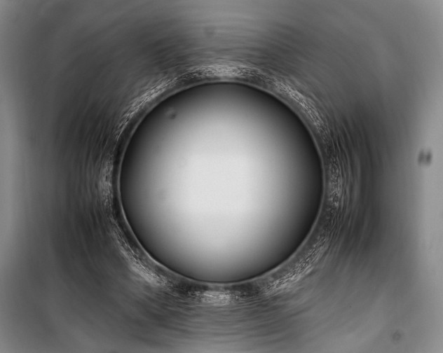 X0000101220394200806271452