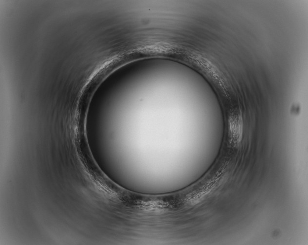 X0000101220396200806271452