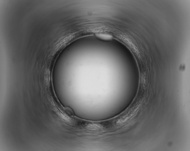 X0000101220397200806271452