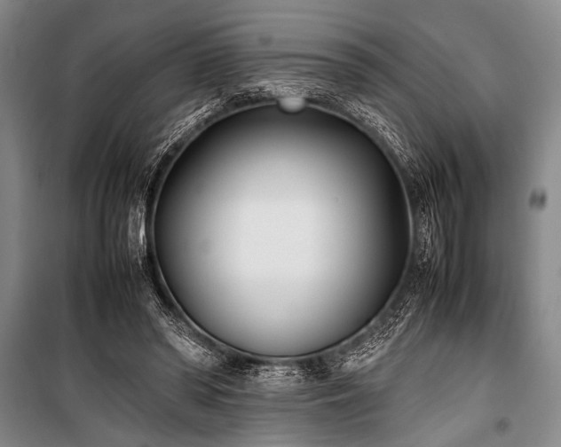 X0000101220398200806271452
