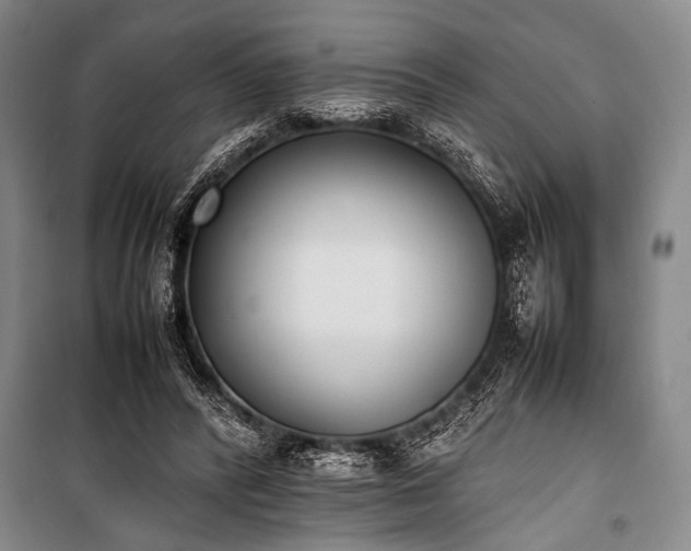X0000101220400200806271452