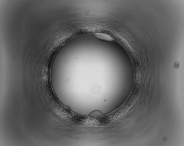 X0000101220403200806271452