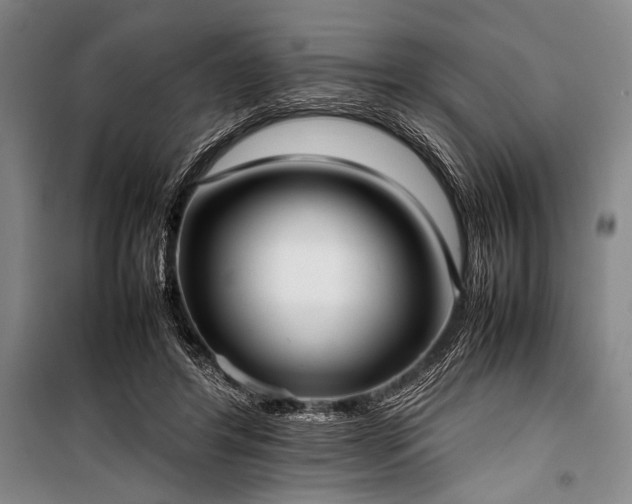 X0000101220404200806271452
