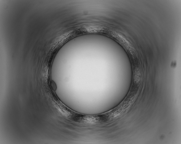 X0000101220405200806271452