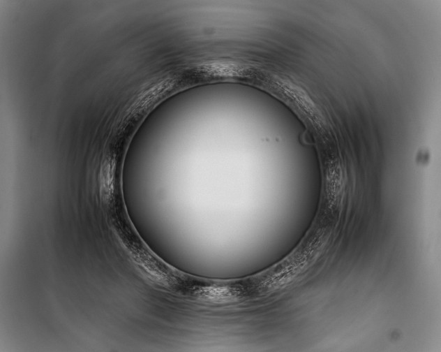X0000101220406200806271452