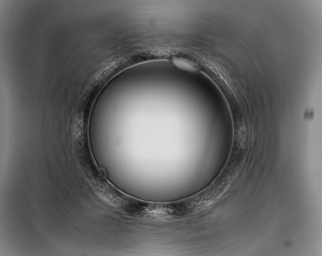 X0000101220407200806271452