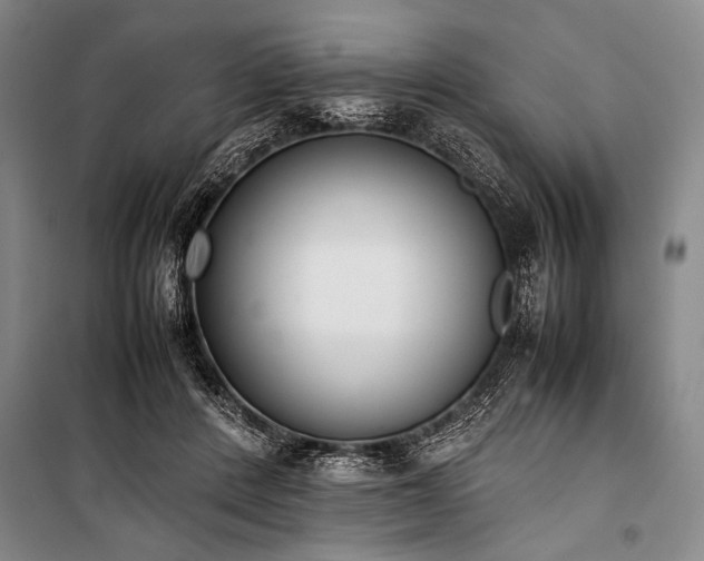 X0000101220408200806271452
