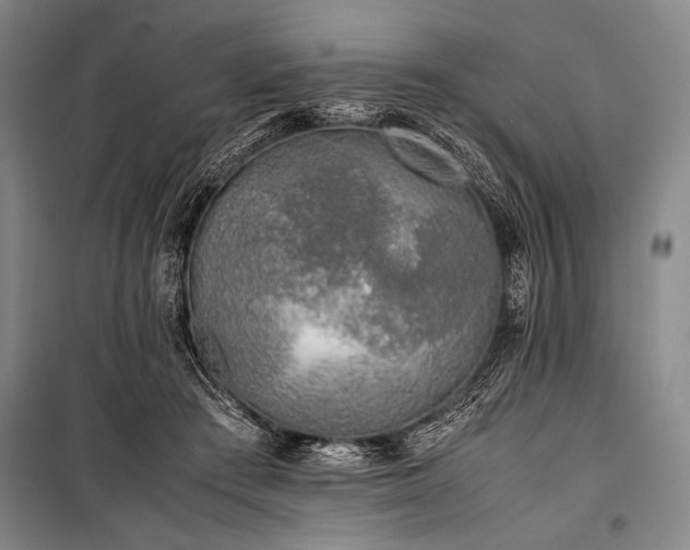 X0000101220409200806271452