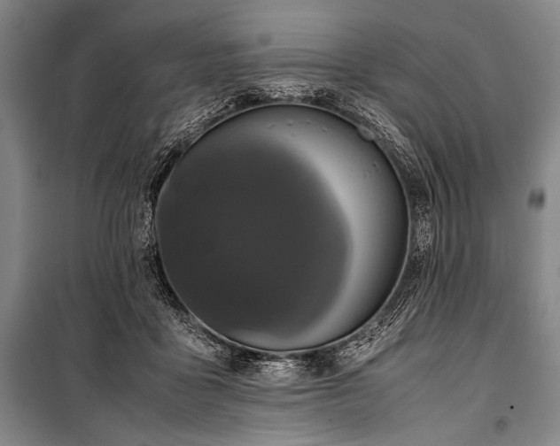 X0000101220411200806271452