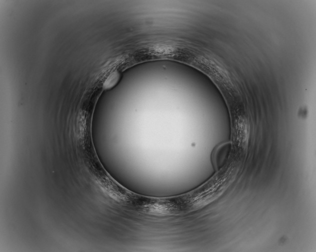 X0000101220412200806271452