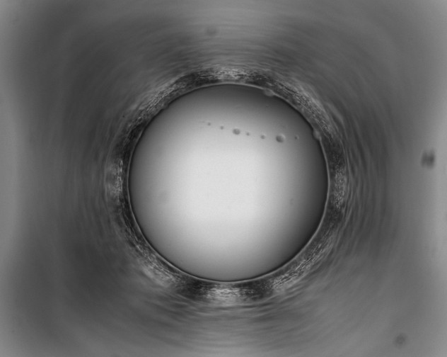 X0000101220413200806271452