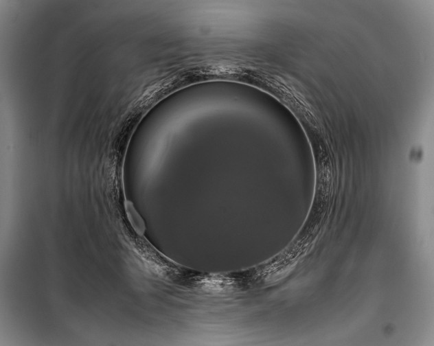 X0000101220415200806271452