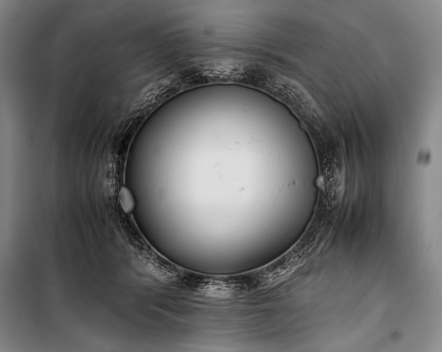 X0000101220416200806271452
