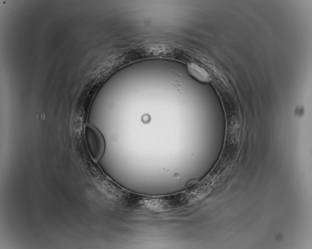 X0000101220417200806271452