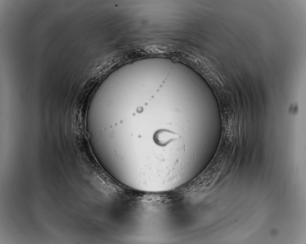 X0000101220418200806271452