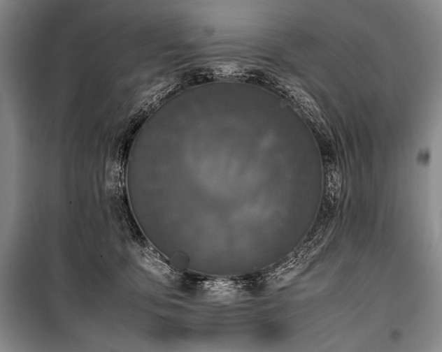 X0000101220419200806271452