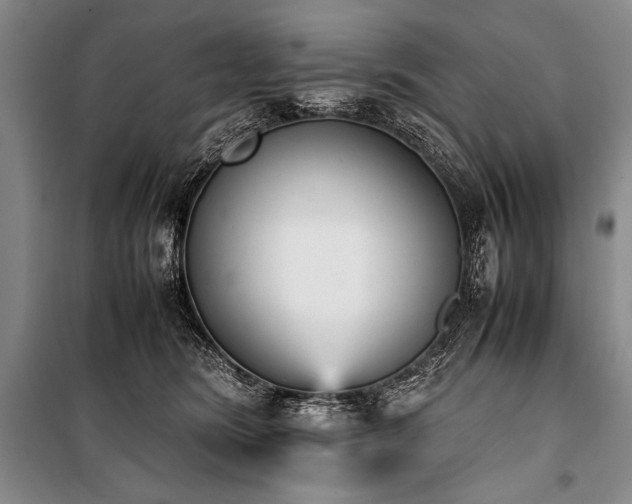 X0000101220420200806271452