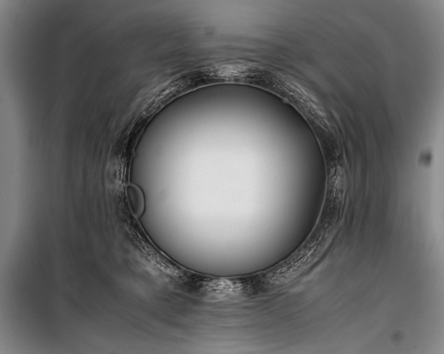 X0000101220421200806271452