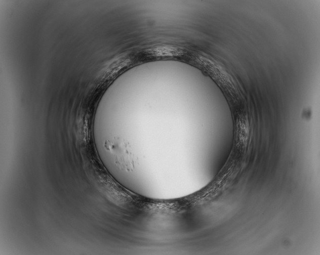 X0000101220422200806271452